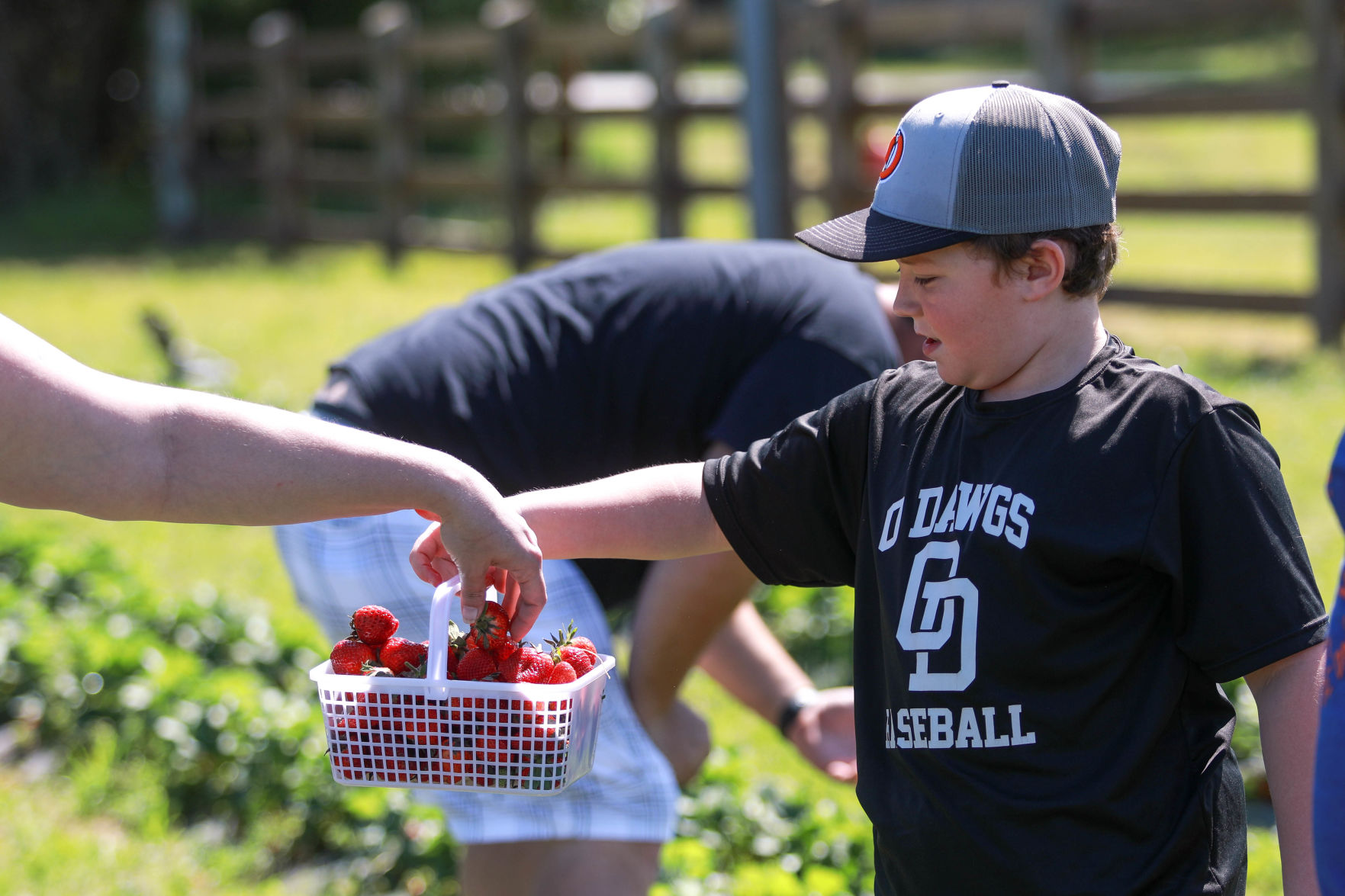 Lone Oak Farm